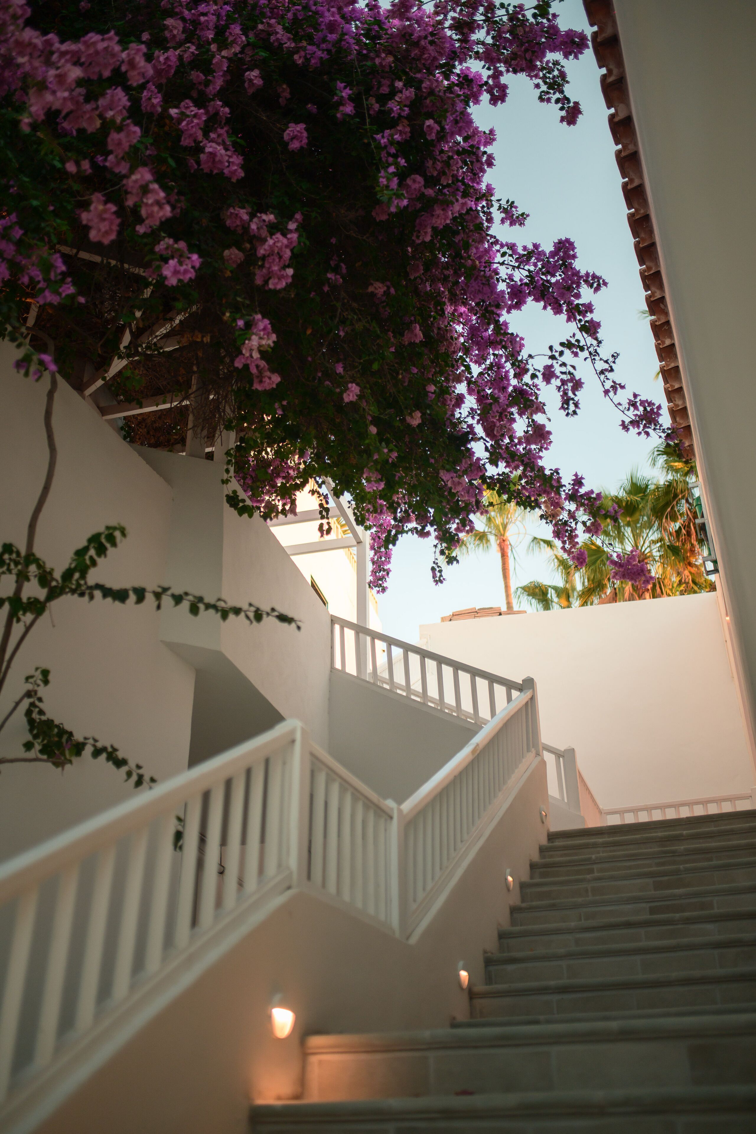 Foto - Hotel Estefania Boutique Suites