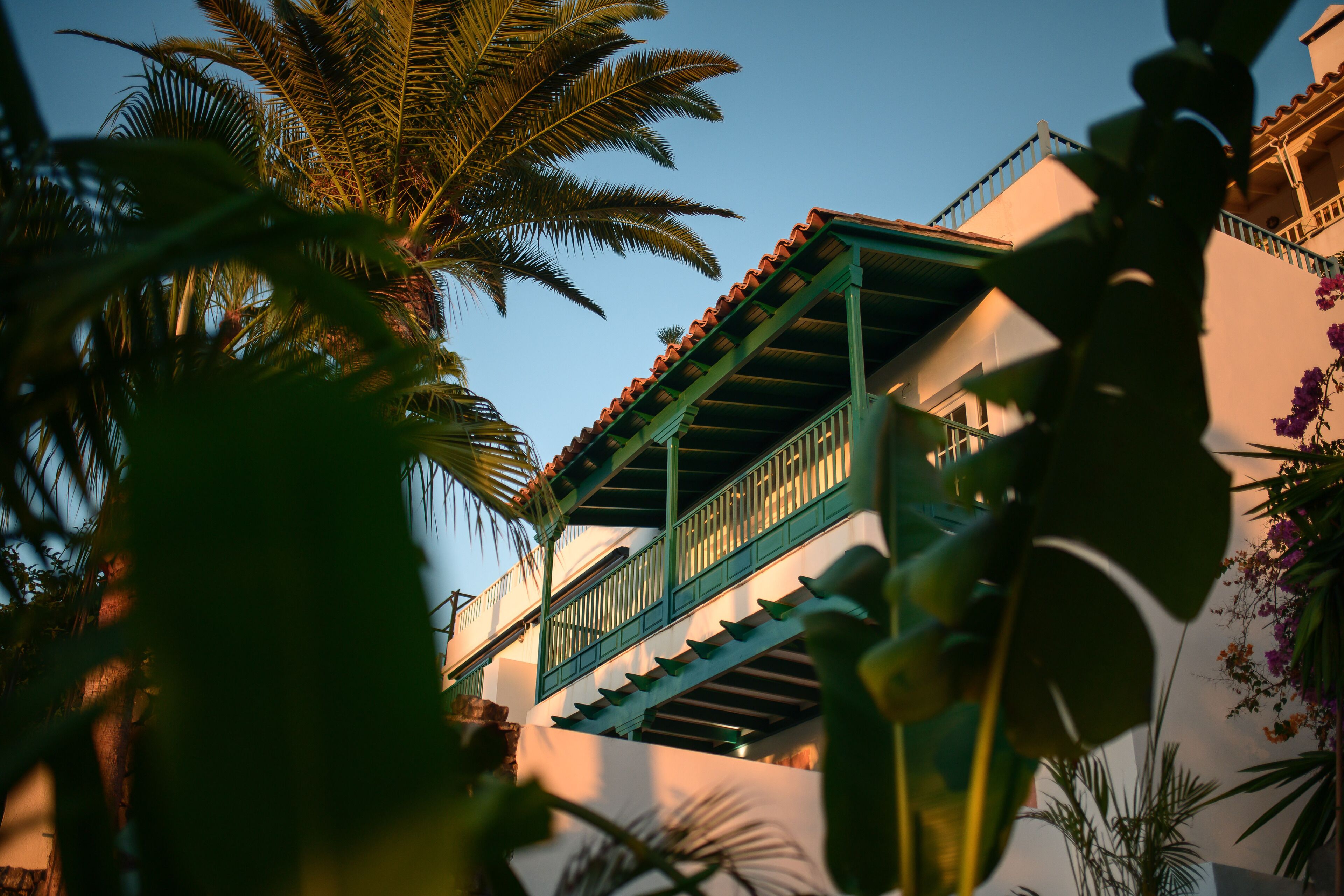 Ein Gebäude mit einem grünen Balkon und einer Palme im Vordergrund.