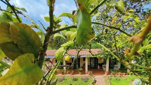 Ein Haus mit Ziegeldach, umgeben von einem Garten mit Topfpflanzen und einem Kiesweg.