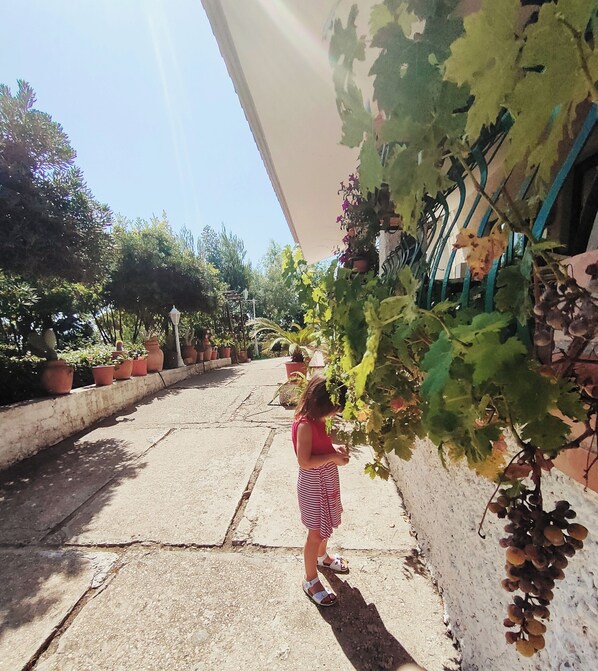 Enceinte de l’hébergement