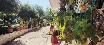 La Lomita Primavera, Relax in the countryside, house surrounded by greenery, 4 km from the sea
