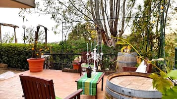 Terraza o patio
