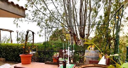 Relaxation in the countryside, house surrounded by greenery, 4 km from the sea