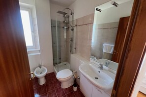 Shower, hair dryer, bidet