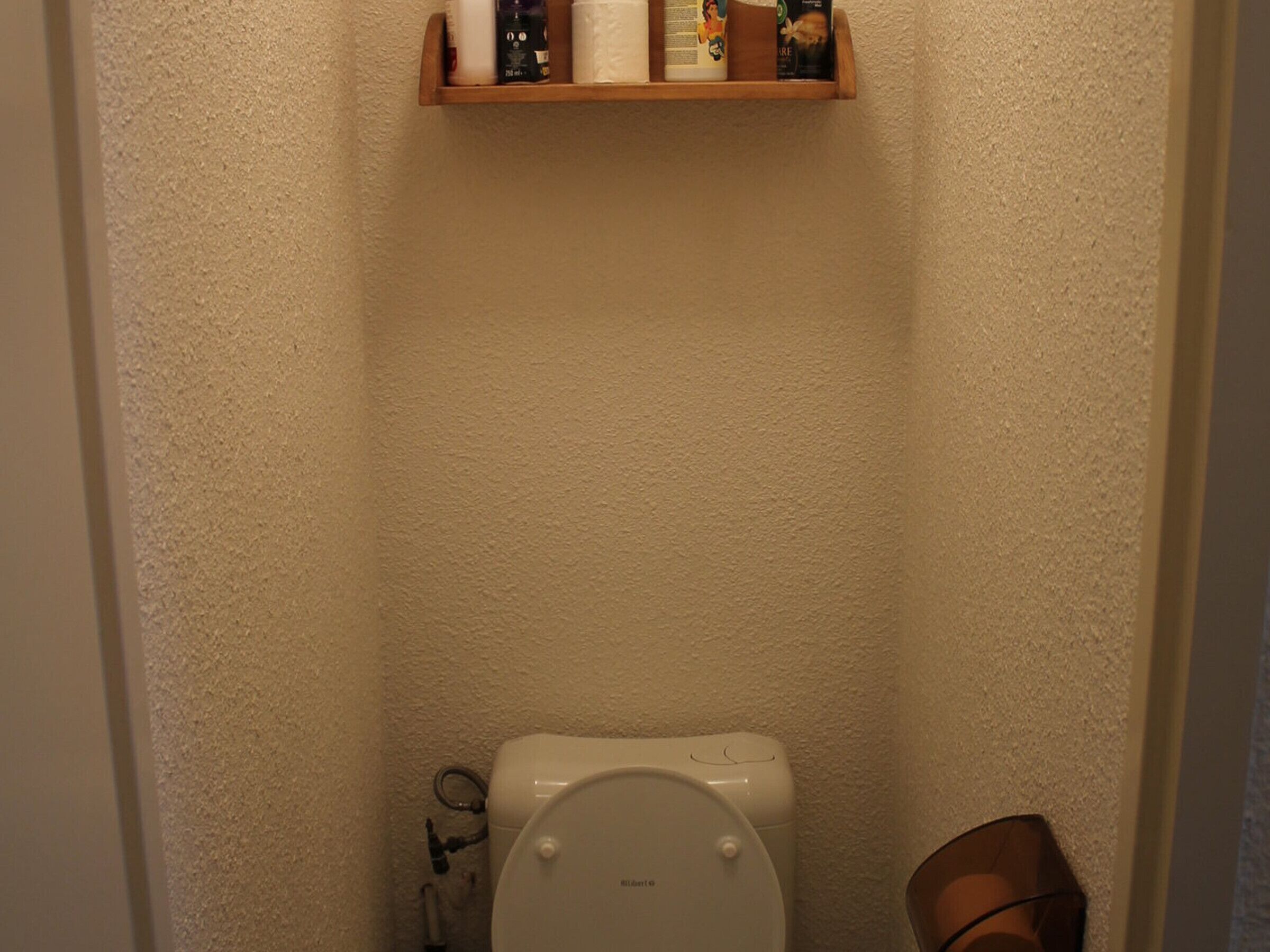 Une salle de bain avec des toilettes, une étagère au-dessus pour ranger les articles de toilette et une poubelle sur la droite.