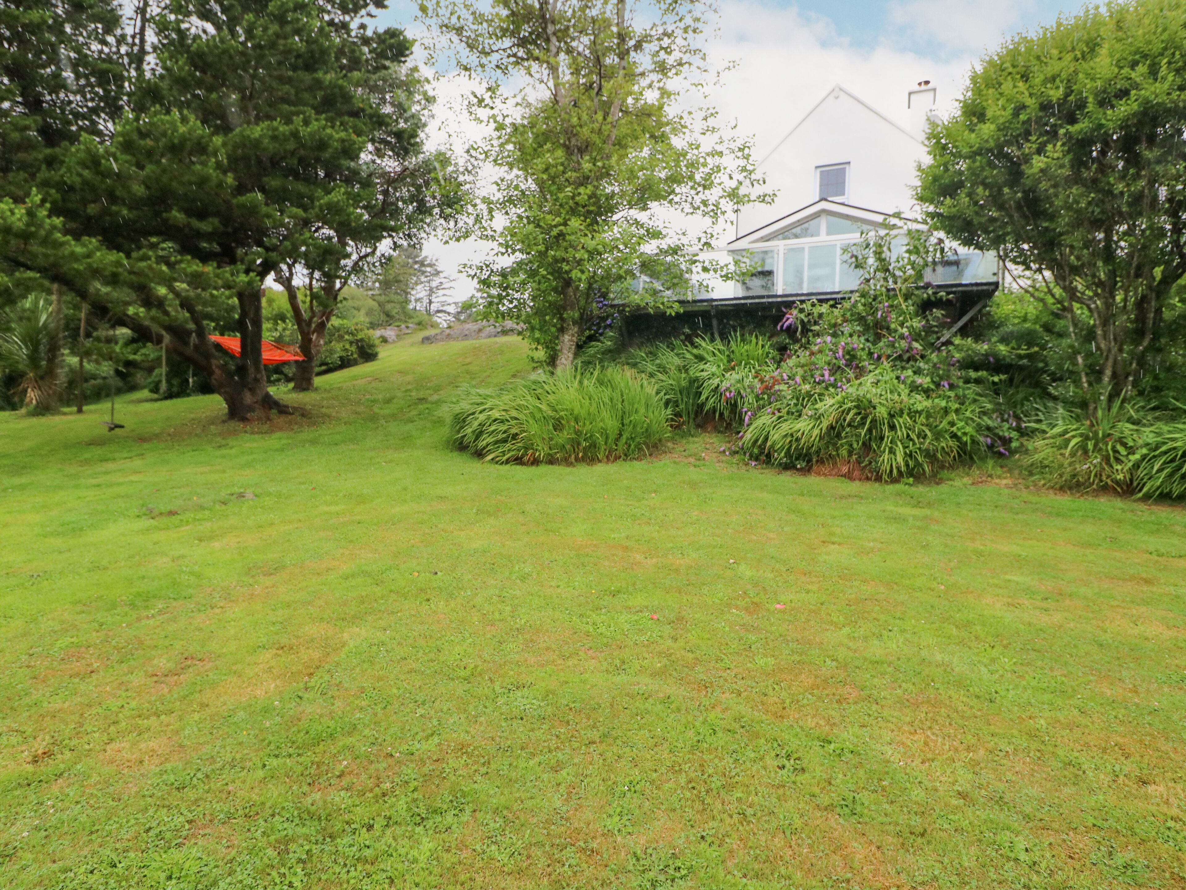 A grassy area with trees and a house in the background.