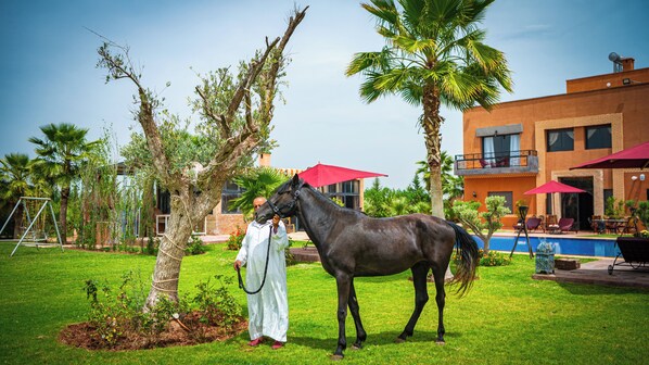 منوع