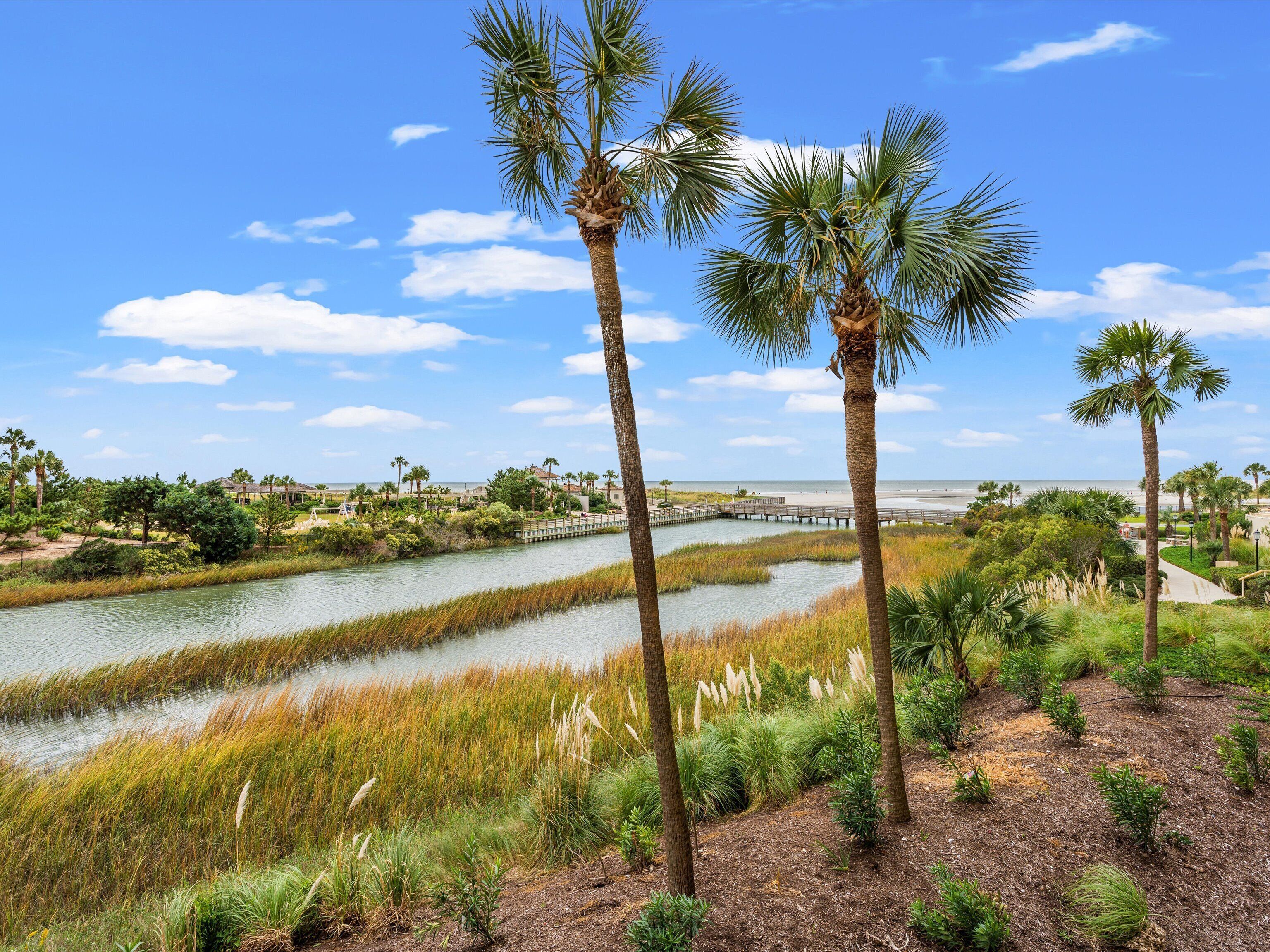 A coastal landscape with palm trees, a waterway, and a distant pier.
