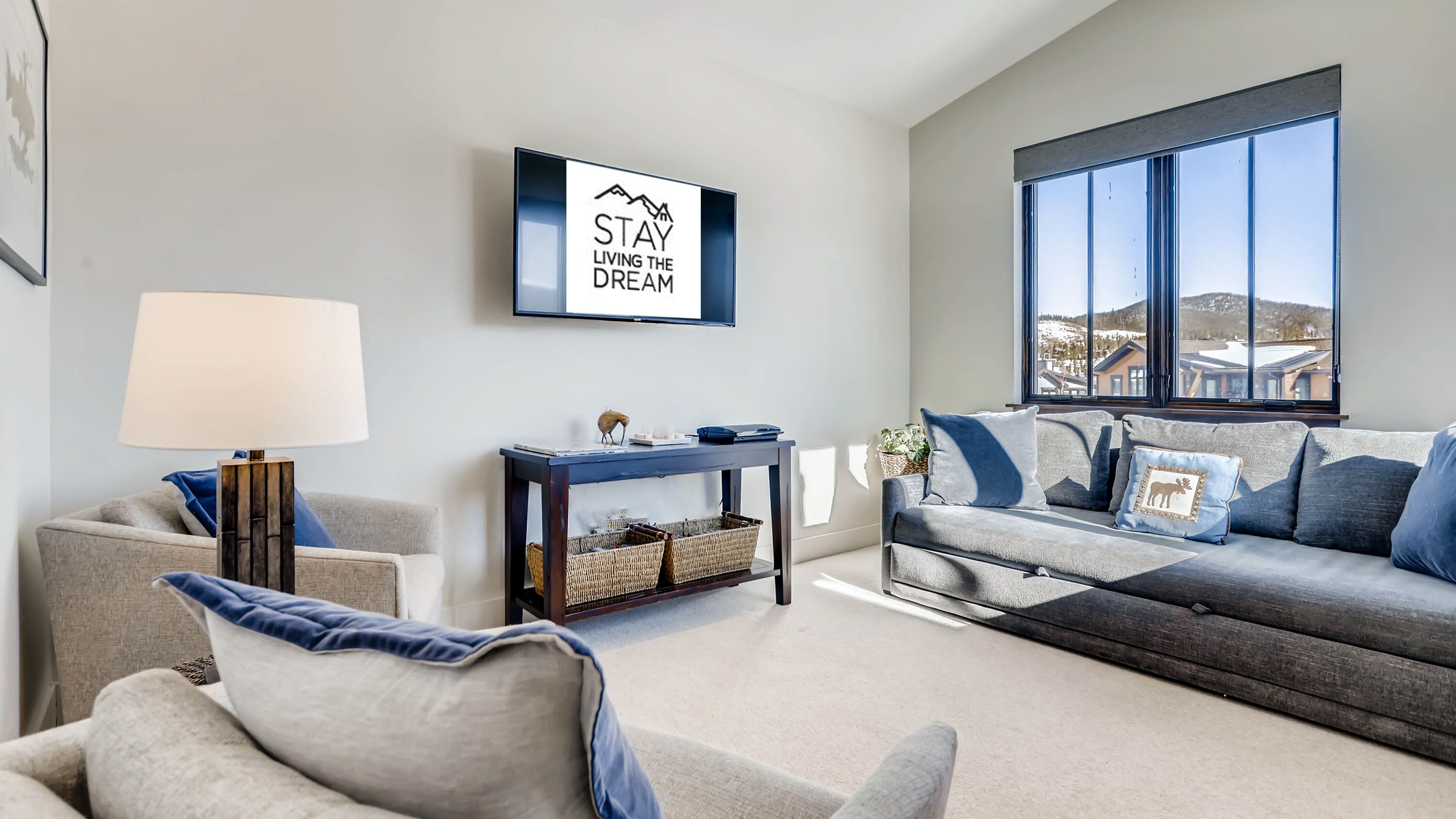 Televisión, chimenea, videojuegos y libros 