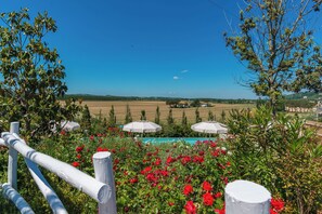 A garden with red flowers, a pool, and a view of fields and houses. - Luxury Home in Tuscany Near Pisa and Florence - Two Bedrooms 4&1 PL (Palaia)