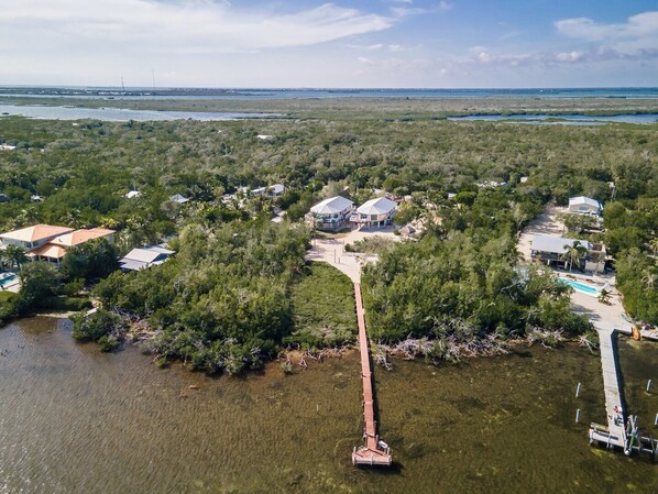 Unclassified image, 1 of 50, button