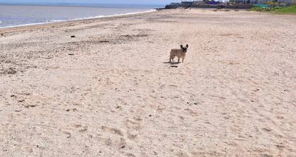 1 Bed Chalet - Sleeps 4 - Pets, Parking, Wifi