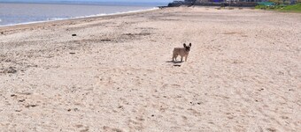1 Bed Chalet - Sleeps 4 - Pets, Parking, Wifi