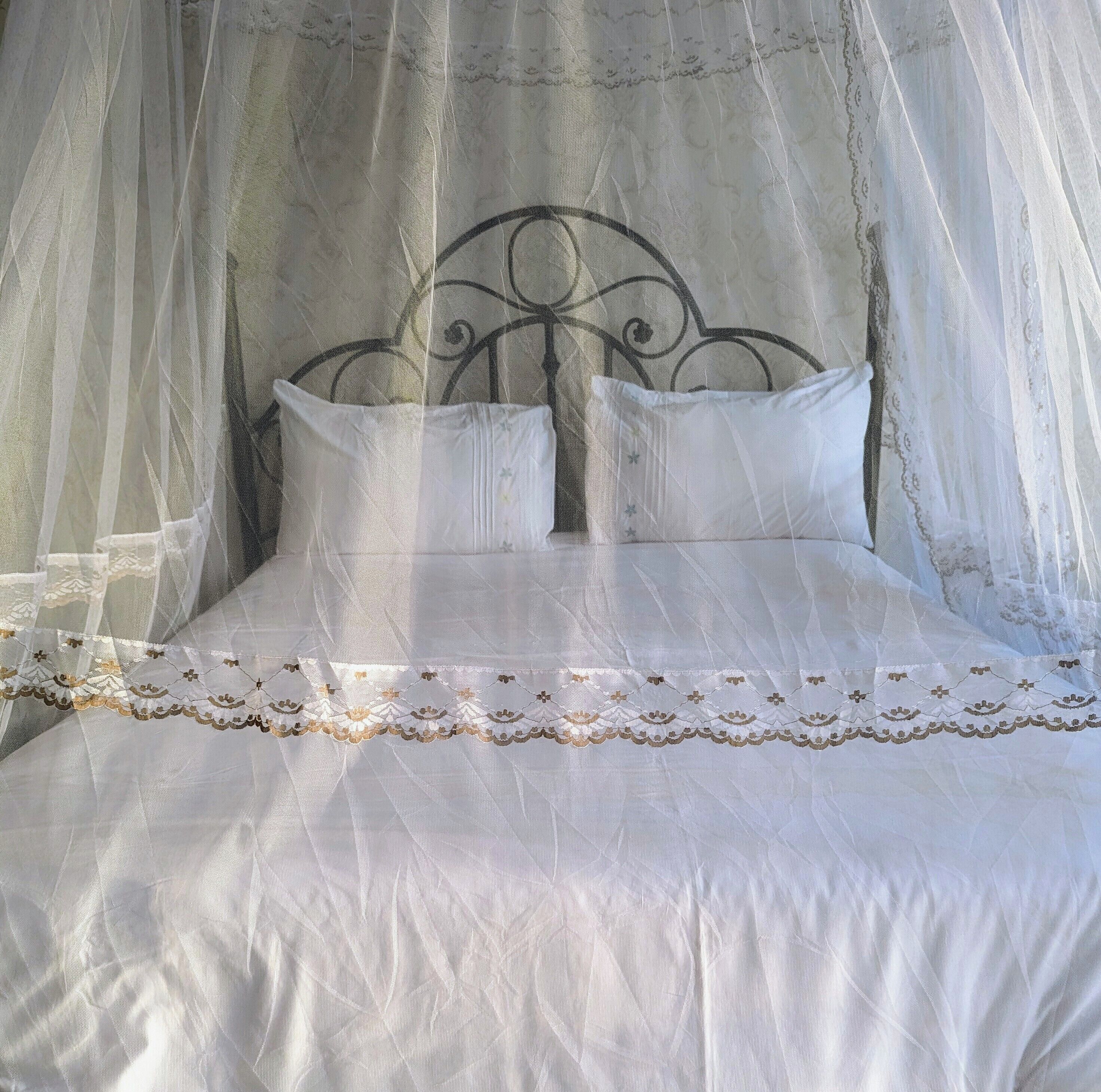 Photo - Oslo Gardens Bed & Breakfast