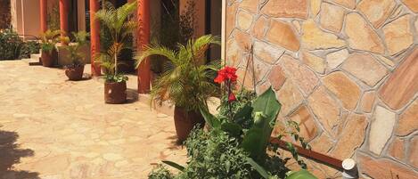 Un edificio de piedra con un patio, plantas en macetas y una flor roja.
