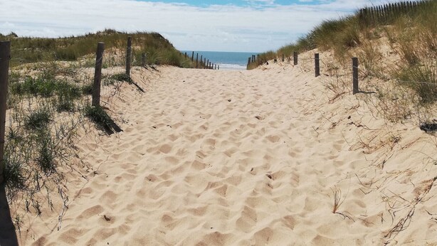 Strand