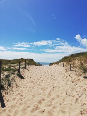 En sandig stig som leder ner till havet, med gräsklädda sanddyner och träpålar på vardera sidan.