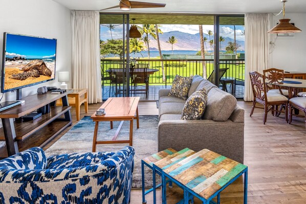 تلفزيون، مشغل دي في دي