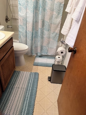 Hair dryer, towels, shampoo, toilet paper