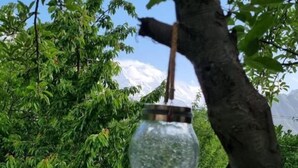 未分類圖片，第 4 張 (共 16 張)，按鈕
