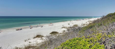 Playa en los alrededores