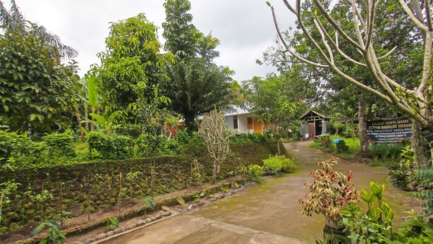 A garden pathway leading to a building with a signboard. - Hotel O Jati Homestay Near Taman Suranadi (Selong Belanak)