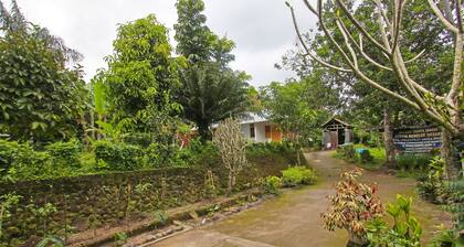 Hotel O Jati Homestay Near Taman Suranadi