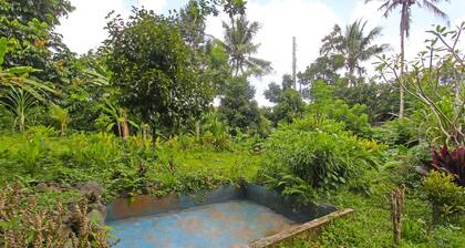 SPOT ON 92567 Jati Homestay Near Taman Suranadi