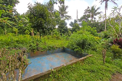 SPOT ON 92567 Jati Homestay Near Taman Suranadi