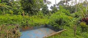 Hotel O Jati Homestay Near Taman Suranadi
