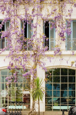 Exterior - Rooms Hotel Batumi (Batumi)