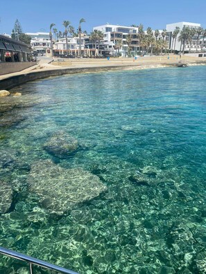 A clear coastal view with a rocky shoreline, palm trees, and modern buildings in the background.
