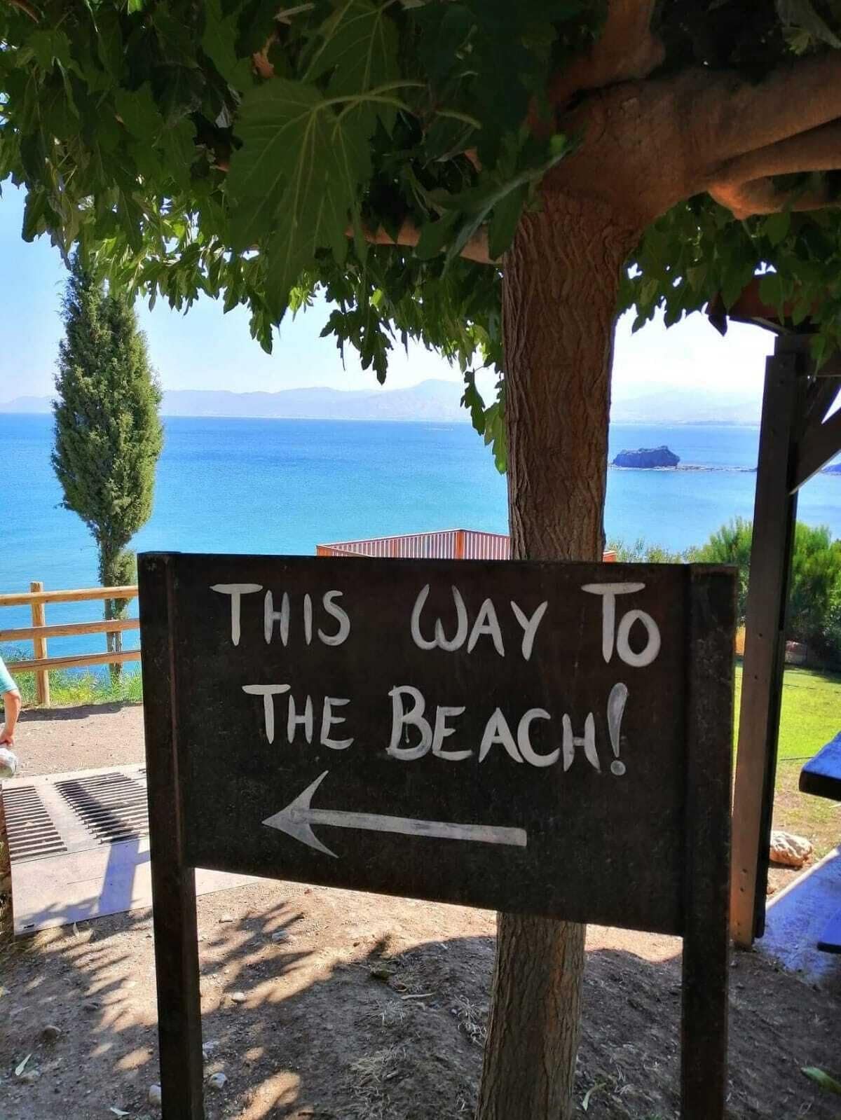 Un segnale direzionale sotto un albero con vista sul mare.