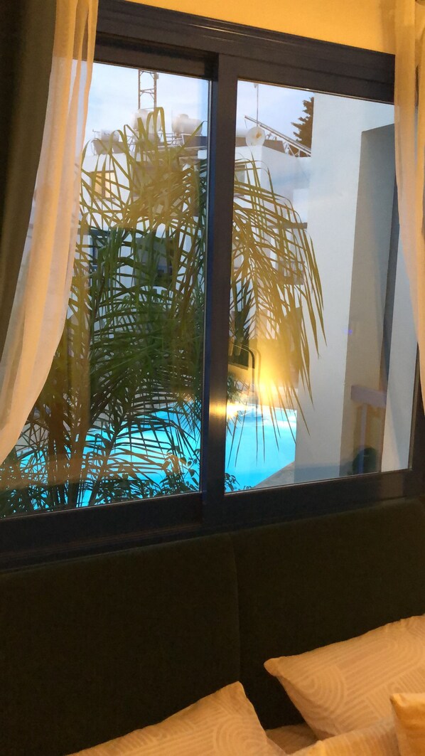 A window with a view of a swimming pool and palm trees, curtains, and a dark-colored sofa.