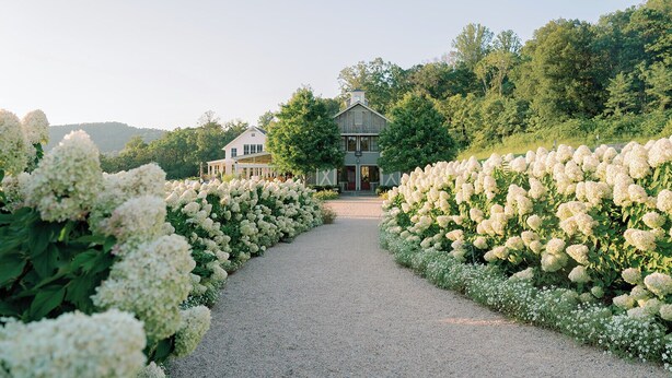 A gravel path leading to a large house surrounded by lush greenery and white hydrangea bushes. - The Crossroads Inn (North Garden)