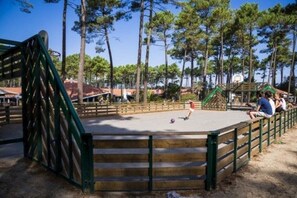 Terrain de sport