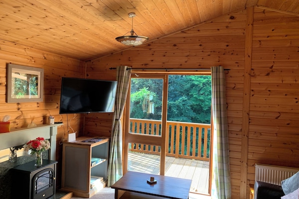 Cabin | Living area | Fireplace