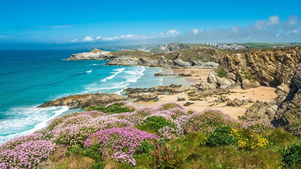 Een kustlandschap met rotskliffen, zandstranden en wilde bloemen.