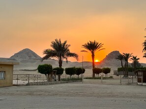 A desert landscape with a sunset, palm trees, and a mountain in the background.