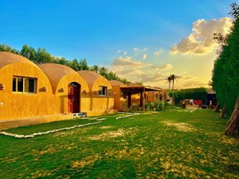 Minibar, muebles diferentes y espacio para trabajar con laptop 