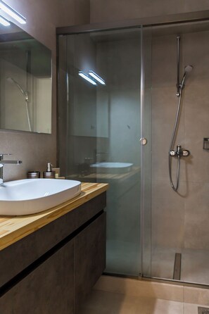 Shower, hair dryer, bidet, towels