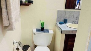 A small bathroom with a toilet, a sink, a mirror, and a small shelf with a plant. - Apartamentos El Labrador # 2 (Tamarindo)