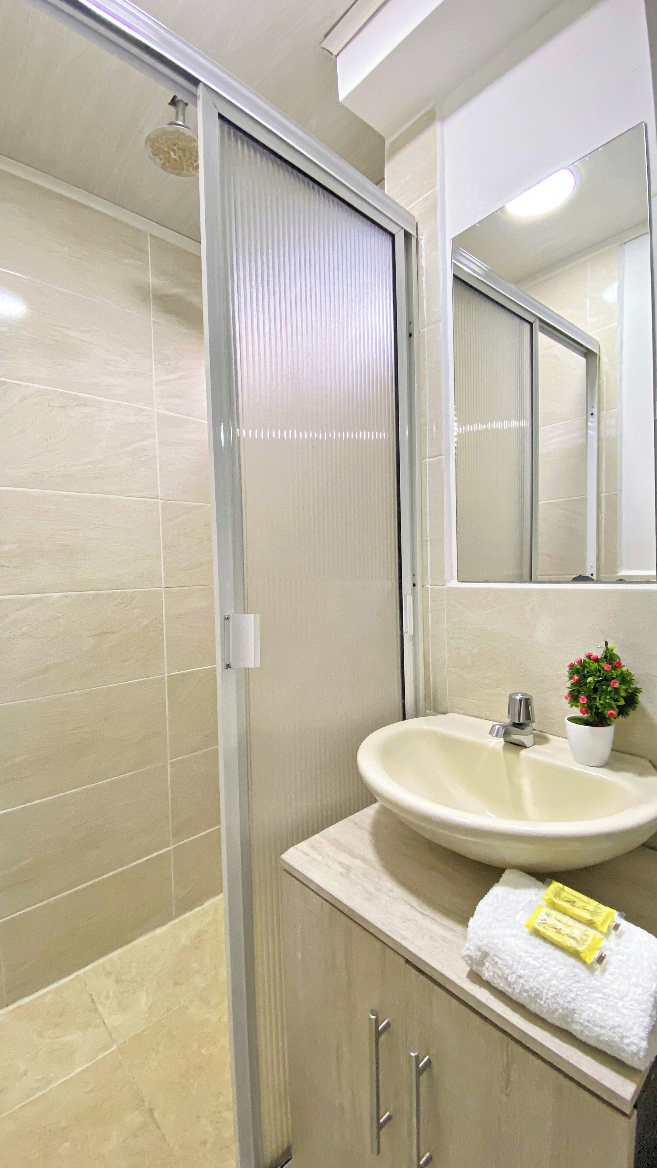 Shower, towels, toilet paper