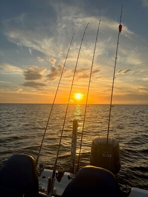 Unclassified image, 5 of 25, button