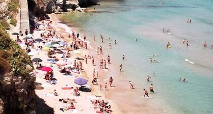 House 100m from the beach