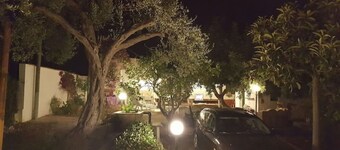 Mediterranean Relax