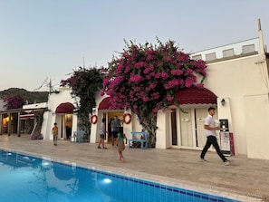تناول الطعام