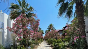 A stone pathway flanked by lush greenery and pink flowering trees, leading to a building with white walls and blue railings. - Eskiyali Otel (Bodrum)