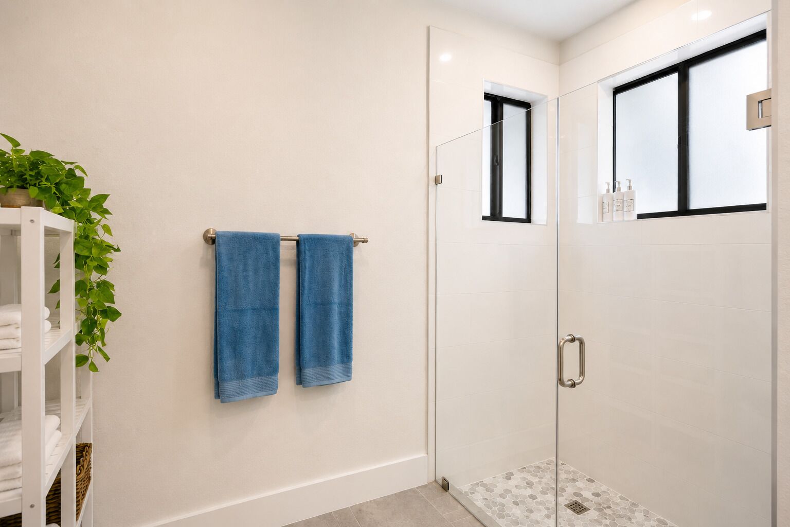 A modern bathroom with a glass shower enclosure, white walls, and a plant on the left.