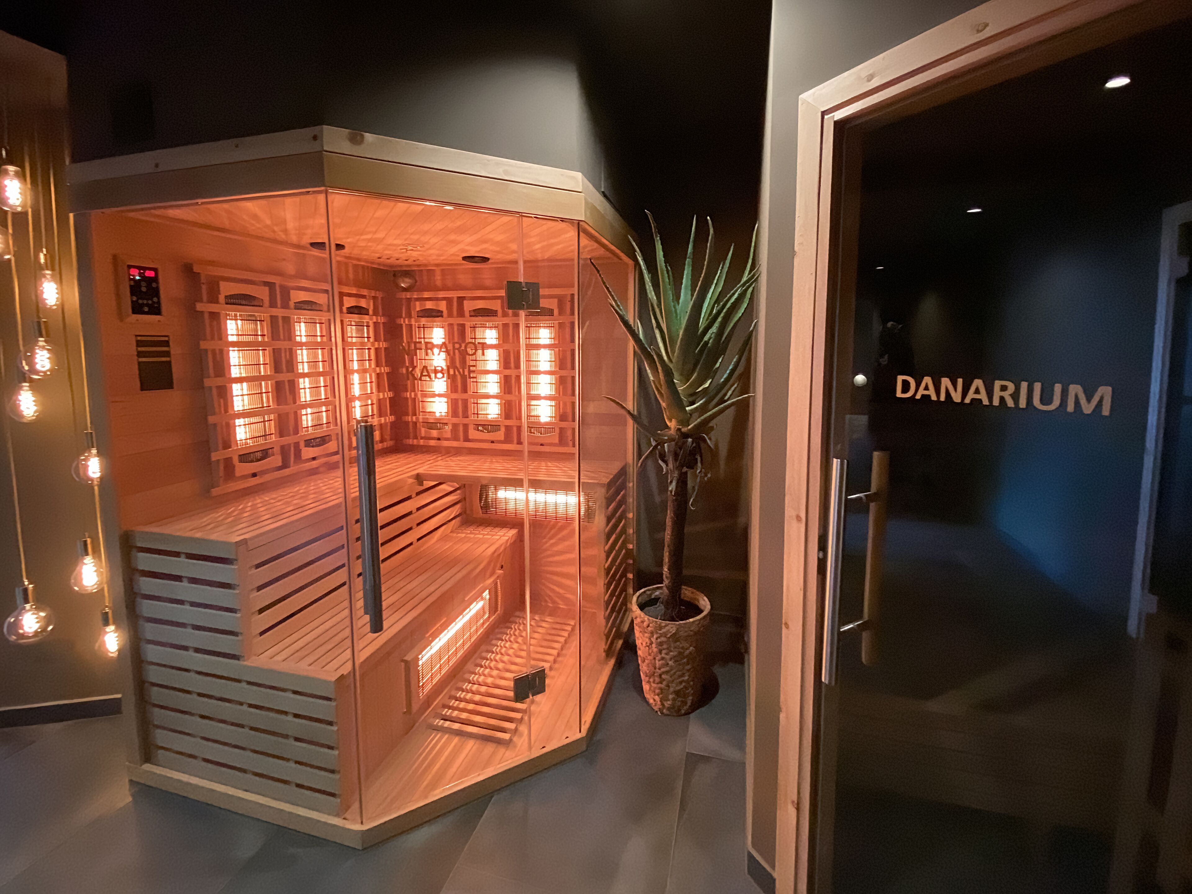 A sauna with benches and a potted plant, and a glass door with the word "DANARIUM".